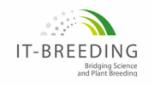Logo IT-BREEDING